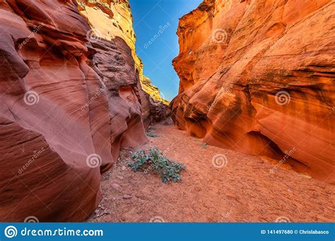 The Intricate Canyons Of Antelope Canyon Stock Photo Image Of Hiking