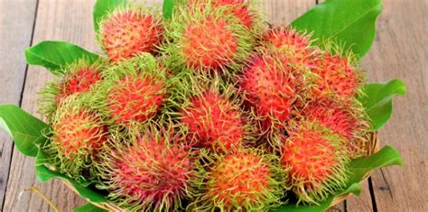 Manfaat Rambutan Untuk Ibu Hamil Ternyata Biji Dan Daunya Bisa