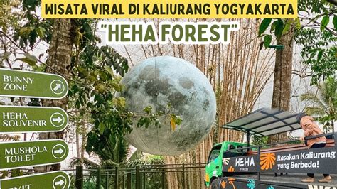 Wisata Baru Viral Di Jogja Cuma Ribu Heha Forest Kaliurang Youtube