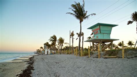 The Place At Dania Beach Paraiso Island