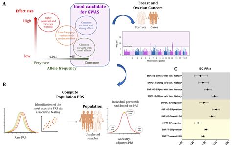 Genes Free Full Text Genetic Basis Of Breast And Ovarian Cancer