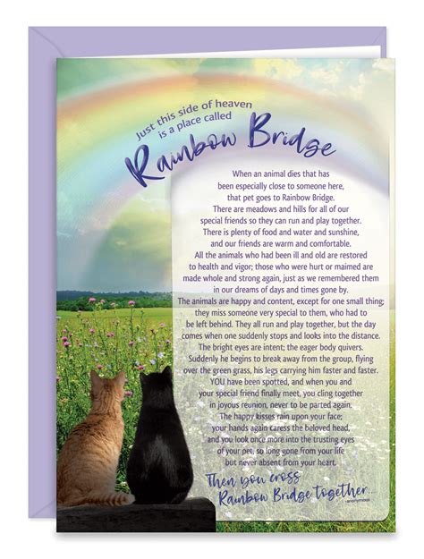 Rainbow Bridge Poem Sympathy Cards Symcatrainbow Purchase Sympathy Cards For Veterinary