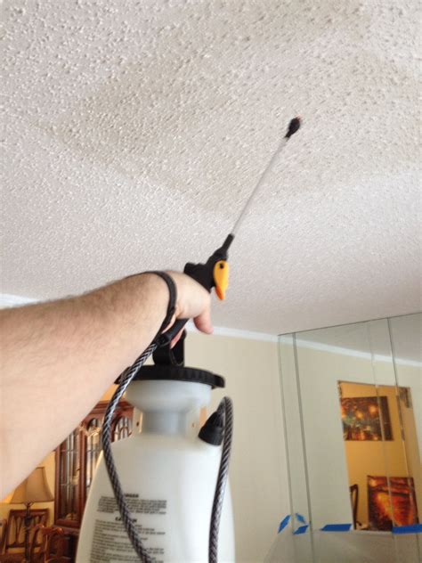 Cleaning Textured Ceilings A Comprehensive Guide Ceiling Ideas