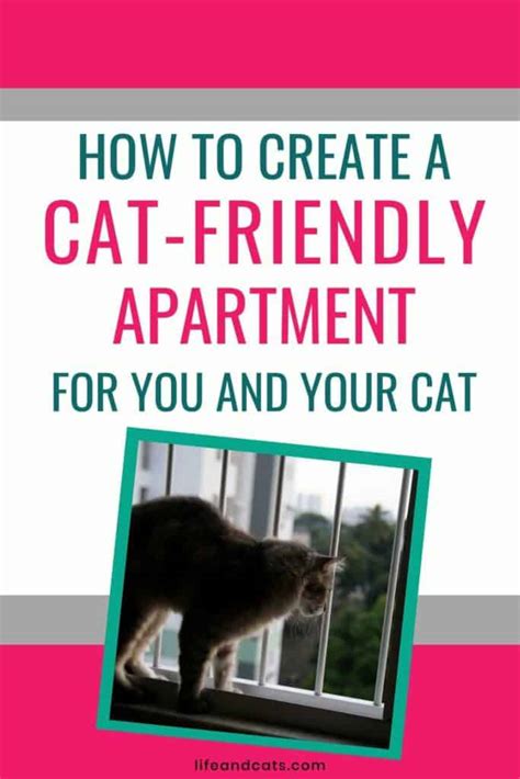 Cat-Friendly Apartments: Tips to Make Your Home a Feline Haven