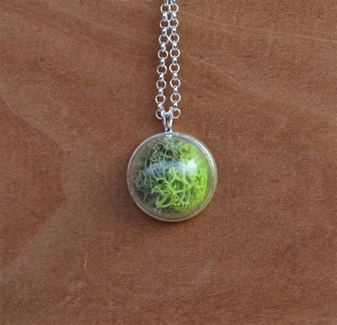 Terrarium Necklace Moss Mixed Necklace Moss Necklace Moss