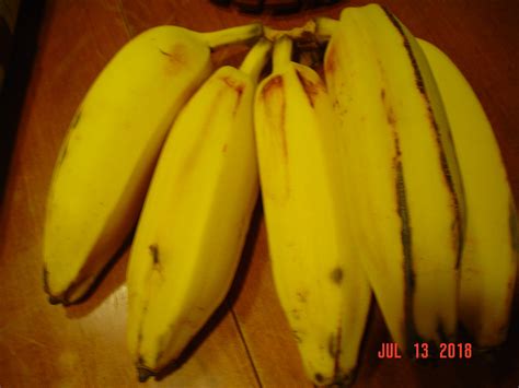 Does The Hardy Banana Musa Basjoo Have Edible Hearts General