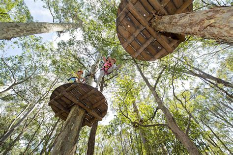 TreeTops Adventure Park - Wyong, Central Coast | HUNTERhunter