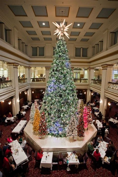 Lighting Of Chicago Christmas Tree | Home Design Ideas