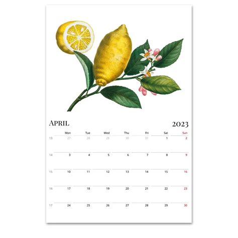 Mid Year Calendar Fruit Wall Calendar Academic Etsy Ireland