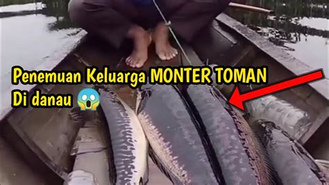 Cuma Modal Botol Keluarga Monster Toman Di Danau Naik Semua Youtube