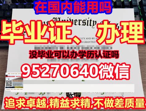 南安普顿索伦特大学毕业证文凭毕业证书公证 Ppt