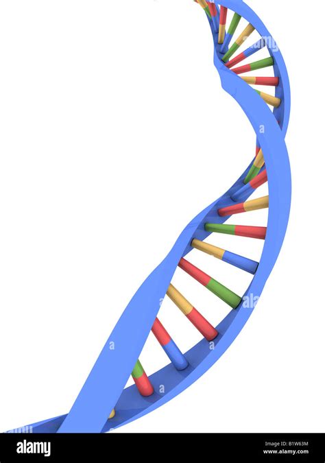 Gene Mutation Hi Res Stock Photography And Images Alamy