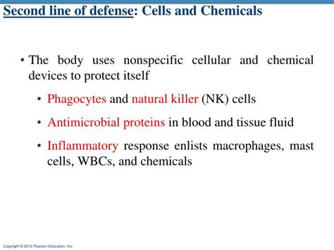 Ppt Immune System Overview Powerpoint Presentation Id 2045190