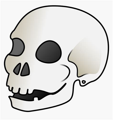 Human Skull Svg Clip Arts Cartoon Skeleton Head Png Transparent Png