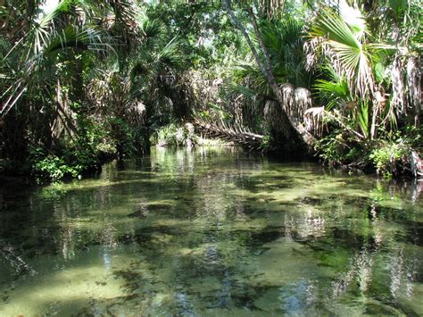 Juniper-Springs-Canoe-Run-Ocala-National-Forest-FL-032