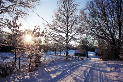 Fondos De Pantalla Luz De Sol Puesta De Sol Nieve Invierno Rama