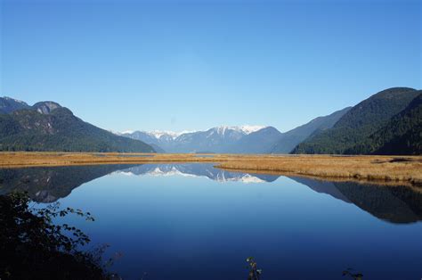 Elevation of Pitt Meadows, BC, Canada - Topographic Map - Altitude Map