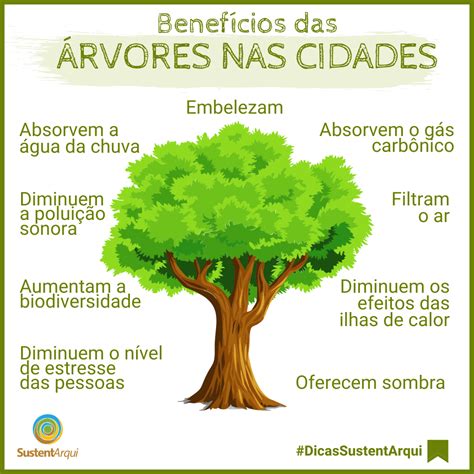 Qual A Importância Das Plantas Para O Meio Ambiente REVOEDUCA