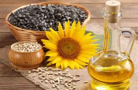 Подсолнечное масло для волос: состав, свойства, рецепты