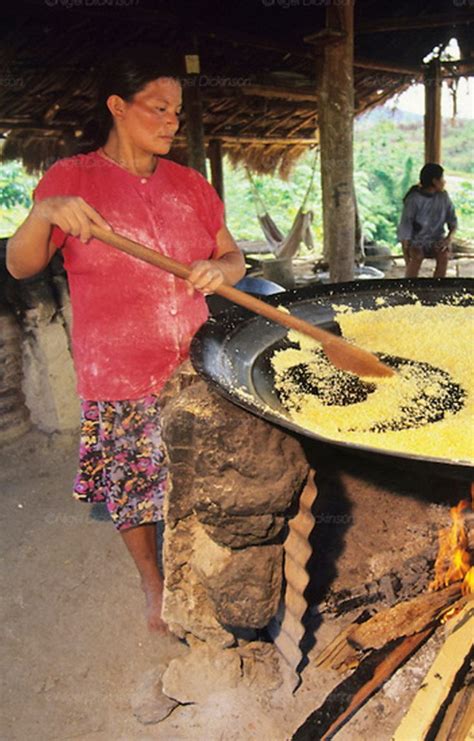 Etnia Macuxi leste de Roraima Povos indígenas Arte indígena