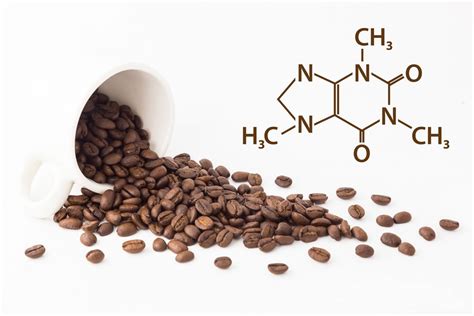 La Química del Café Un Cafecito