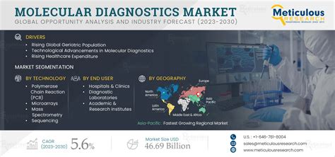 Molecular Diagnostics Market By Size Share Forecasts Trends Analysis