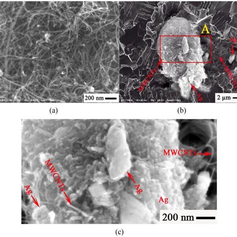 Representative Fesem Morphology Of Mwcnts A And Cross Sectional