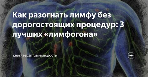 Как разогнать лимфу без дорогостоящих процедур: 3 лучших «лимфогона ...