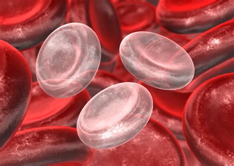 8 Things That Elevate Your Platelet Count