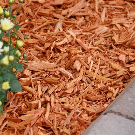 How To Pick The Right Type Of Mulch Material 4th Generation