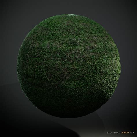 Scanned Seamless Short Grass Pbr Texture 350x350x10cm