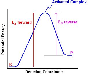 Changing Equilibrium Temperature