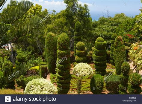 Topiary spiralen Fotos und Bildmaterial in hoher Auflösung Alamy