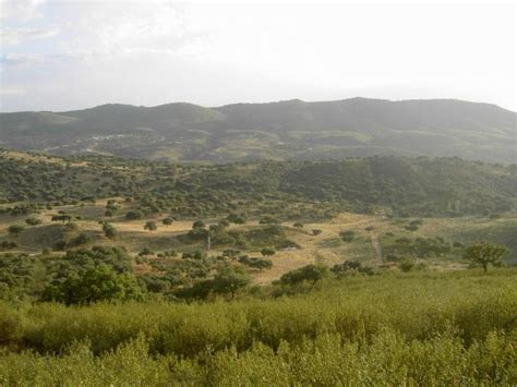 Dehesa en El Puerto y Campillo al fondo FRESNEDOSO DE IBOR Cáceres