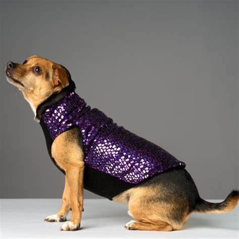 Home Rocket Dog Rescue