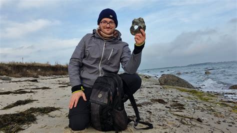 Schöne Funde in Schleswig Holstein Fossilien suchen an der Ostsee