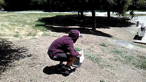 First Yb Training Toss RACING PIGEONS YouTube