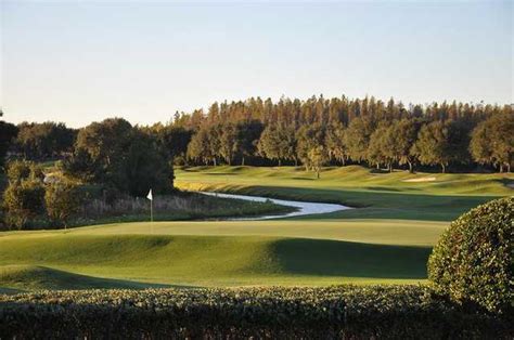 TPC Tampa Bay in Lutz, Florida, USA | Golf Advisor