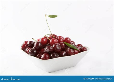 Sour Cherries Stock Images - Image: 15175844