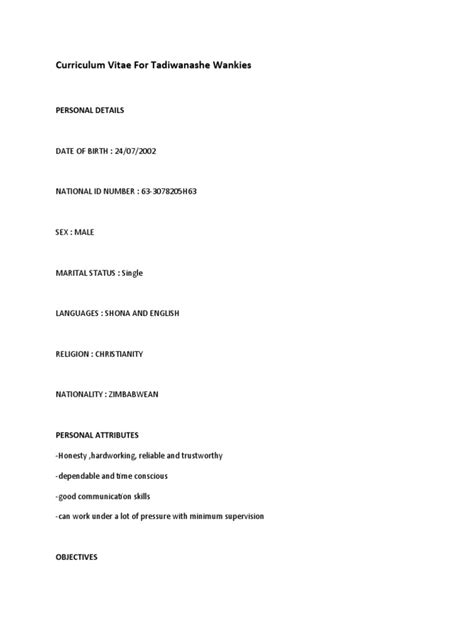 My CV-WPS Office | PDF