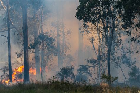 Chevron donates $1.2M to Western Australian fire relief efforts ...