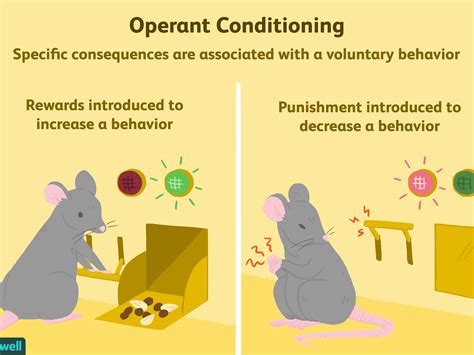 Behavior Modification Terms 4 Proven Behavior Modification Techniques With Examples Think