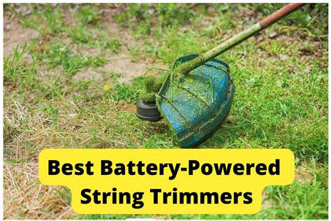 6 Best Battery-Powered String Trimmers of 2024 [Reviews]