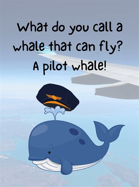 100 Funny Whale Puns And Jokes To Tail Your Friends Glory Of The Snow