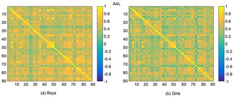 Sex Differences In Reconstructed Resting State Functional Brain