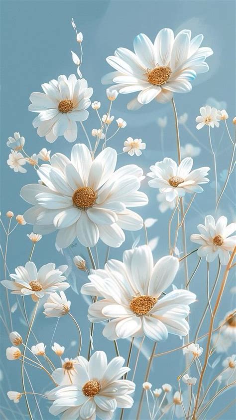 White Daisies Against A Blue Sky With Long Stems In The Foreground And