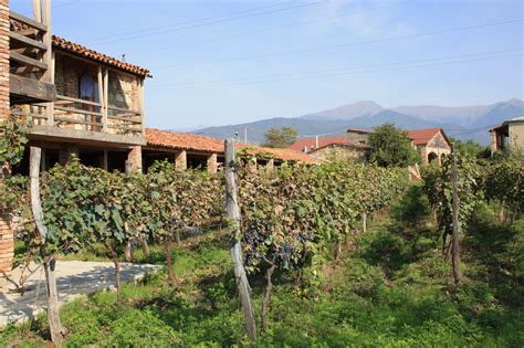 Mir Corporation Announces Epicurean Adventure Across Georgias Wine Country