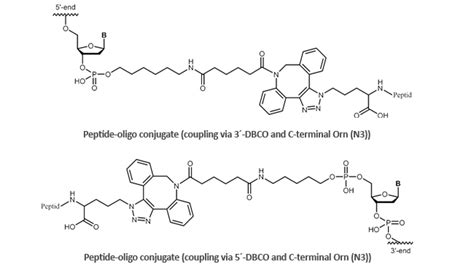 Peptide Oligo Conjugates Oligonucleotides