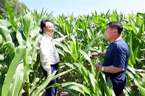 景俊海：强化政策赋能科技赋智人才赋力 坚决扛稳维护国家粮食安全重任 吉林省长安网