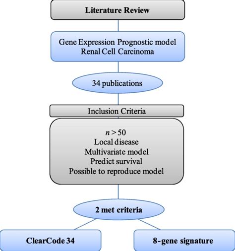 Molecular Subtypes Improve Prognostic Value Of International Metastatic Renal Cell Carcinoma